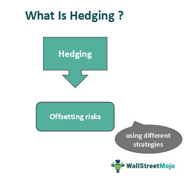 bet hedging meaning|what is hedging.